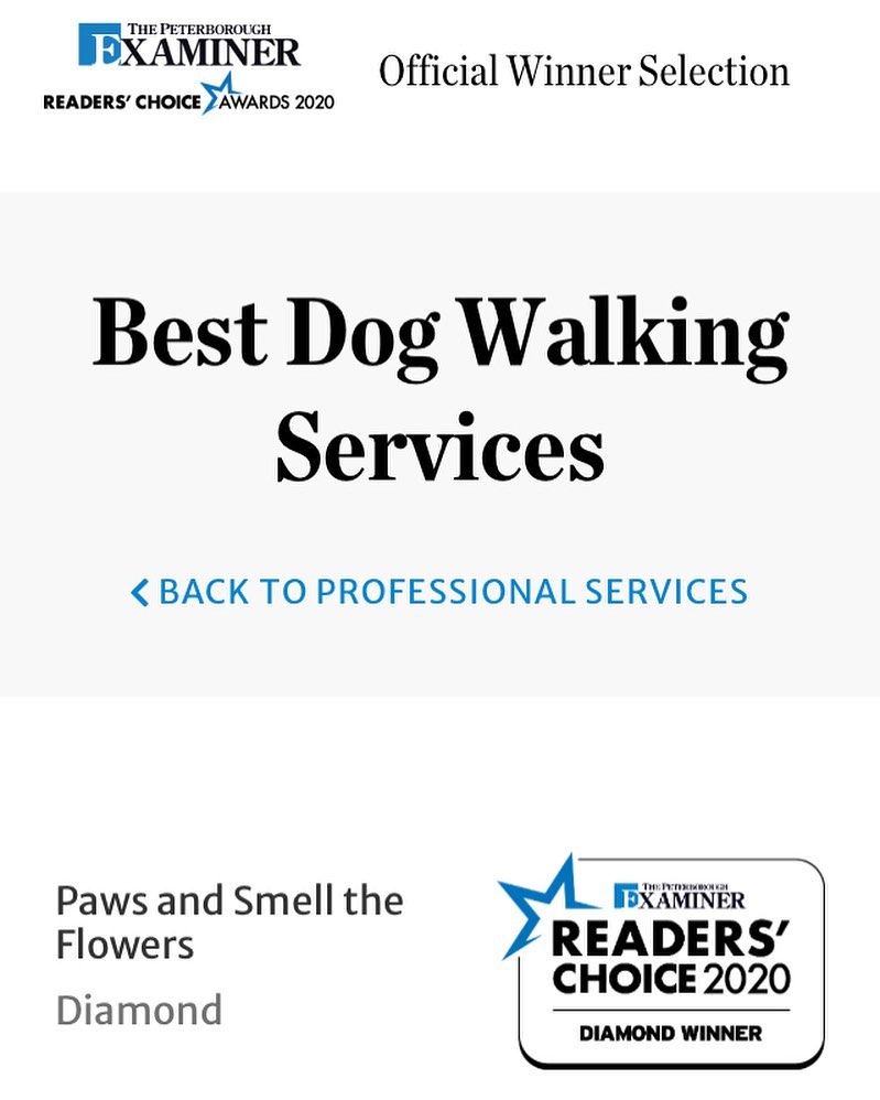 127874935_3503084329809796_6523923396306658127_o